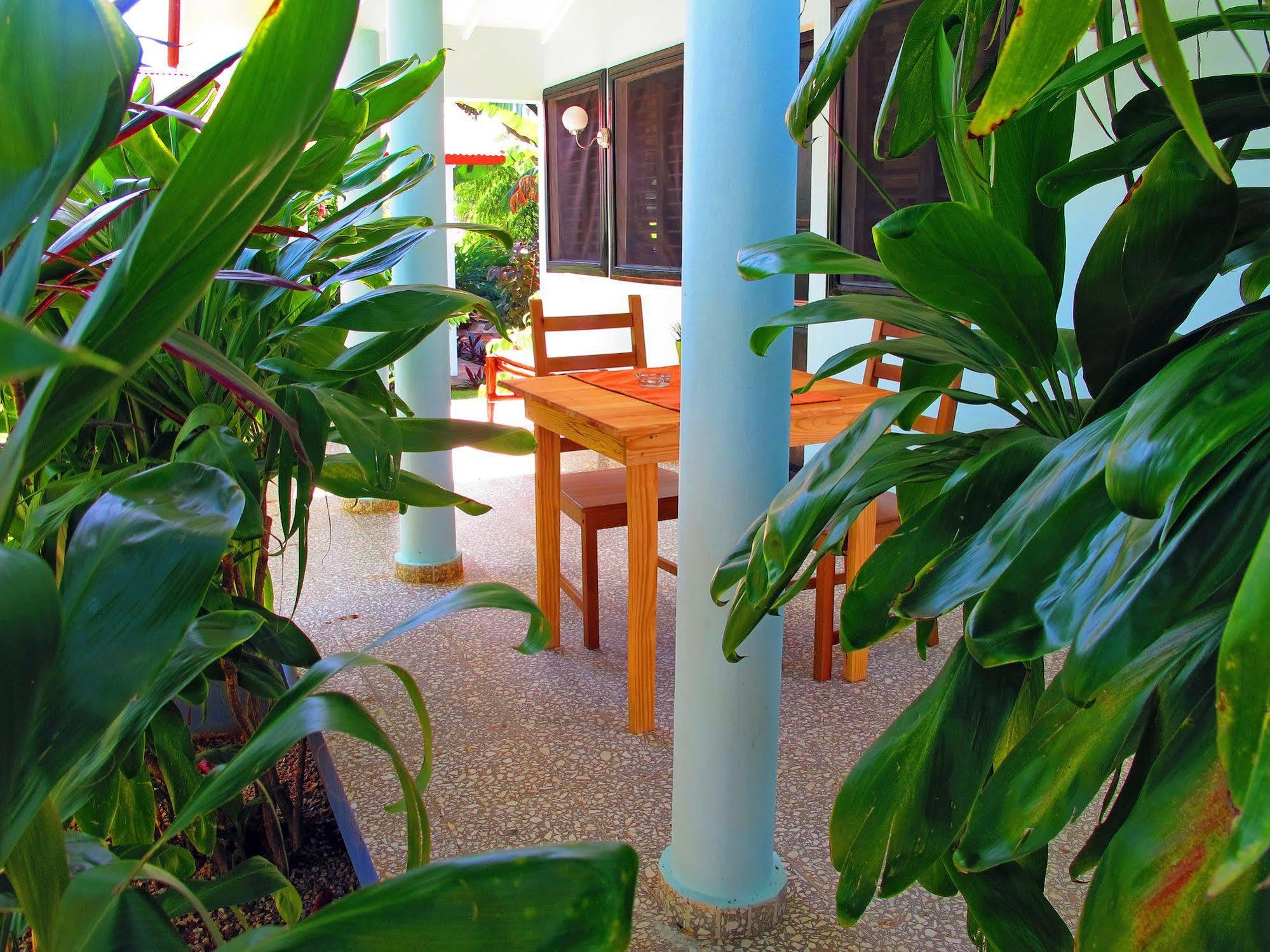 Bungalows Of Las Galeras Dış mekan fotoğraf
